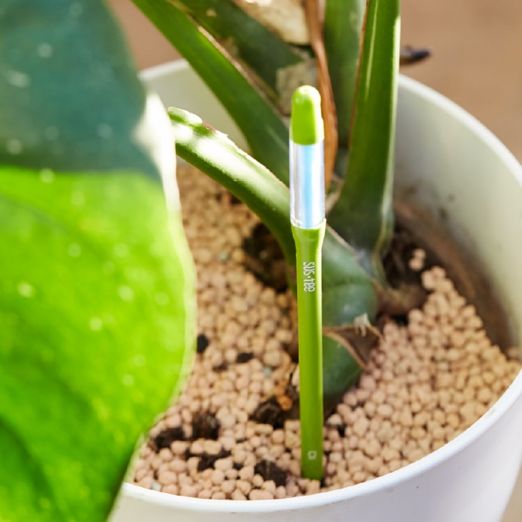 水分計 サスティー Mサイズ