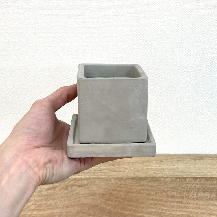 CC003-080