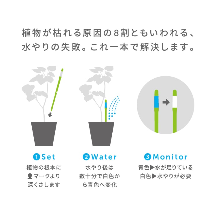 水分計 サスティー　Mサイズ